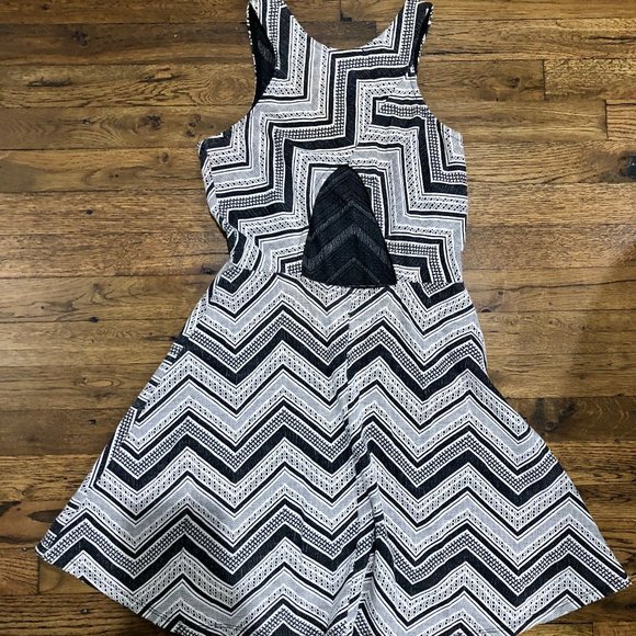 Black and White Patterned Skater Dress - Picture 2 of 2